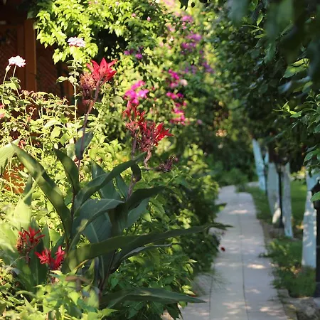 Guest house Blue Paradise Cirali